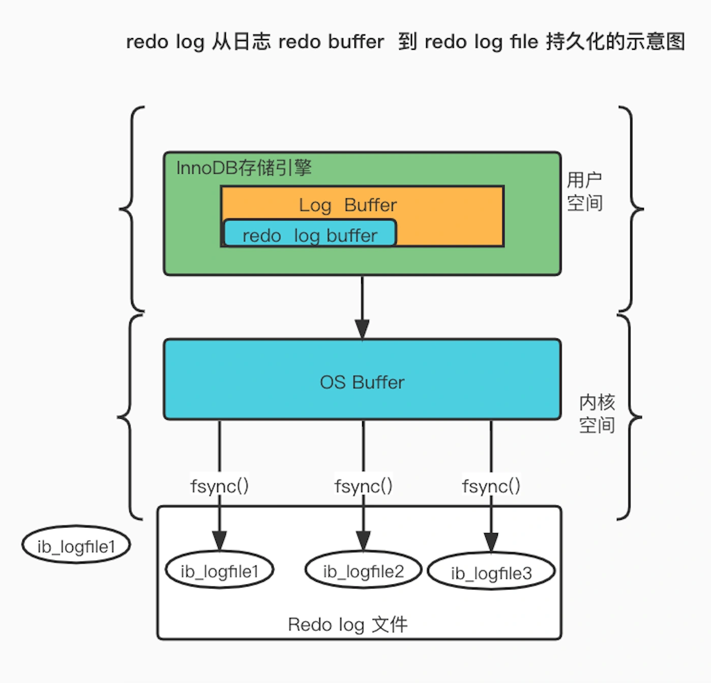 41.webp