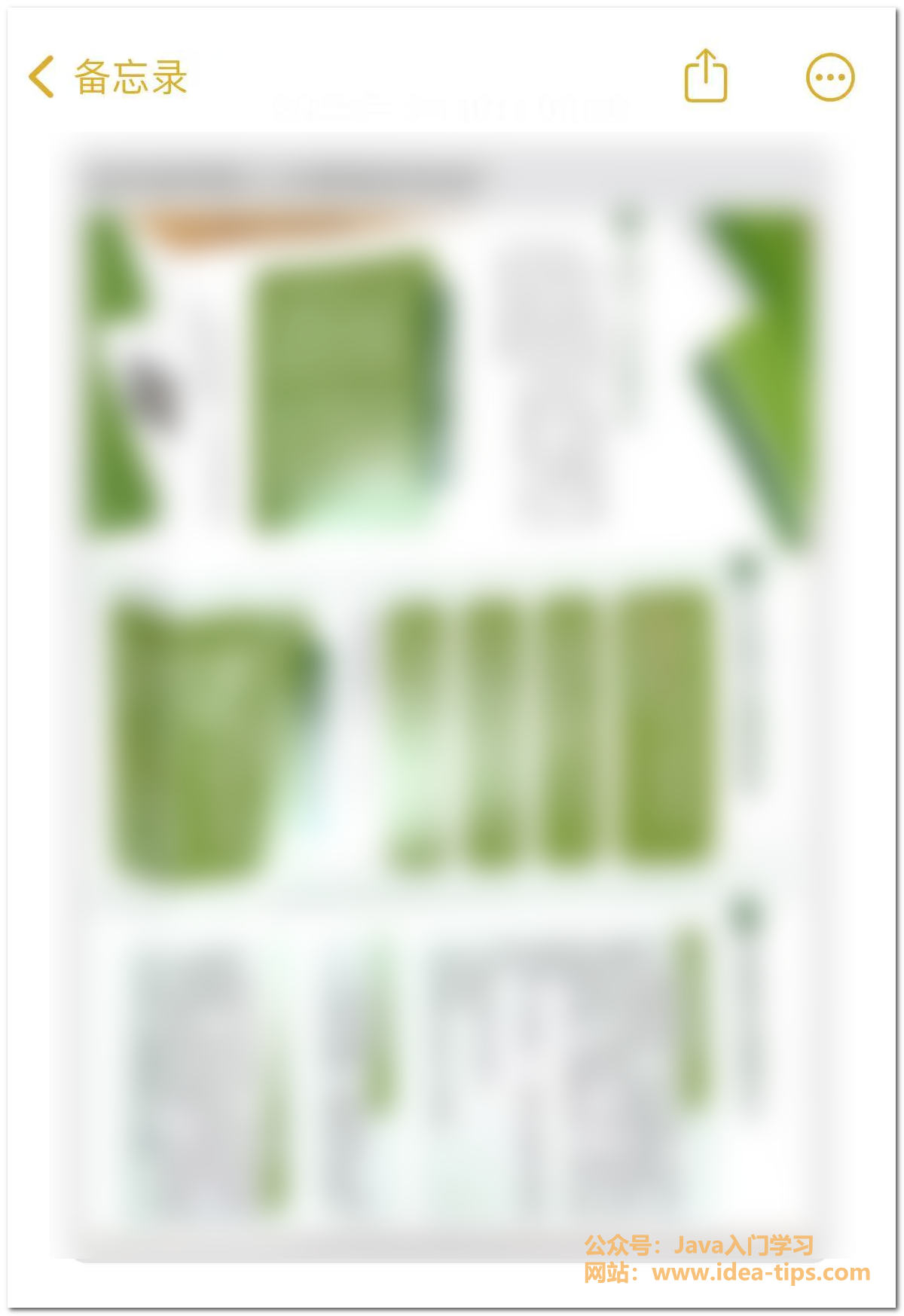 5.png
