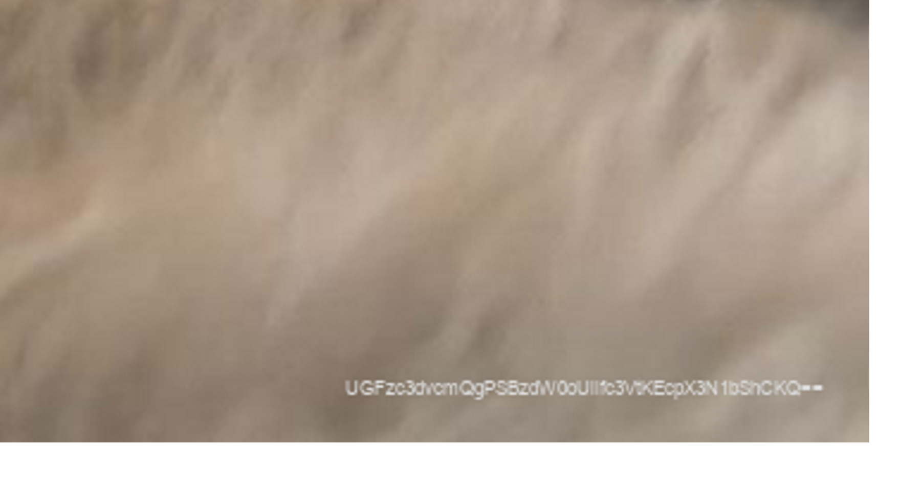 8.png