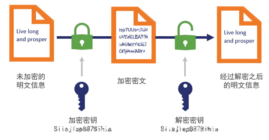 7.webp