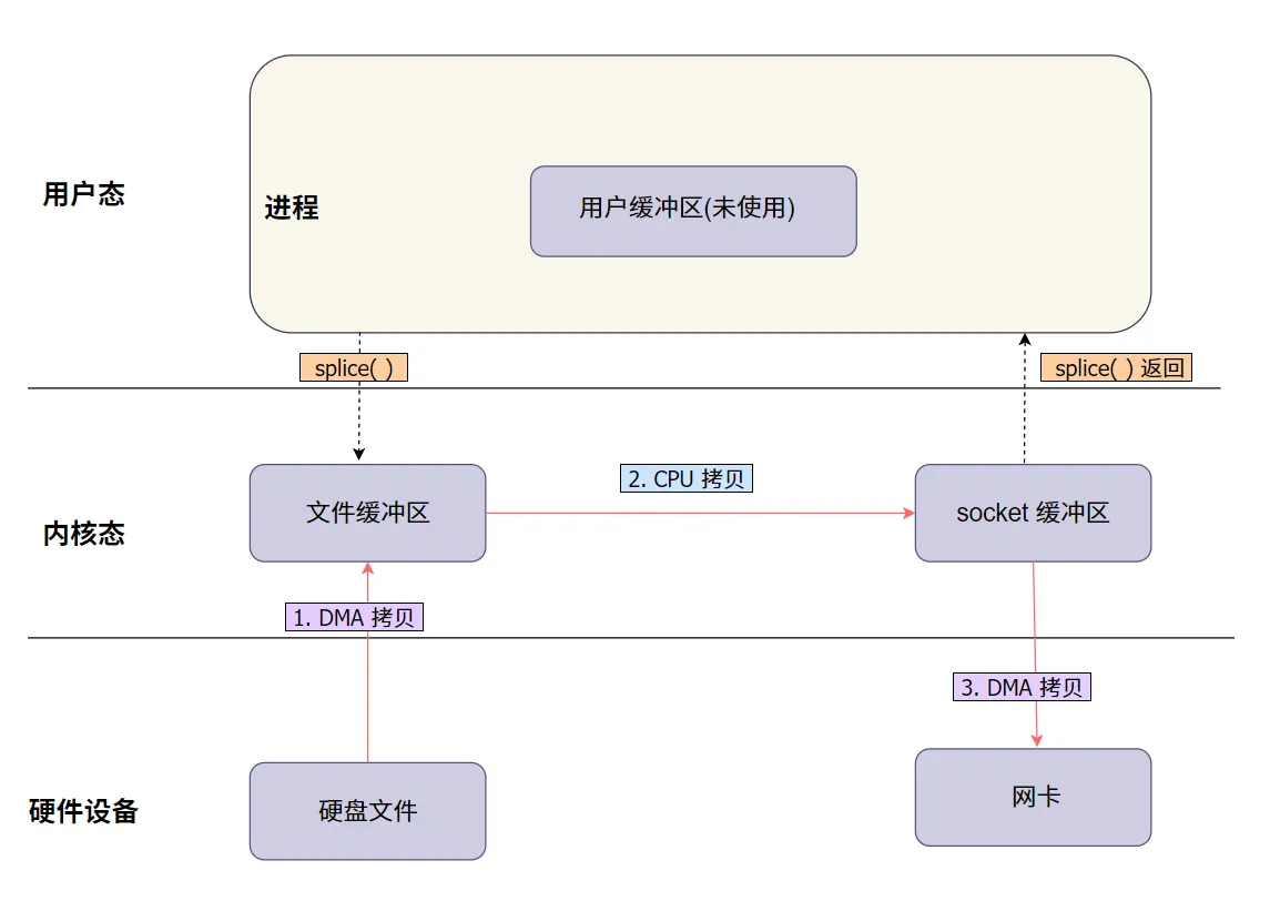 5.webp