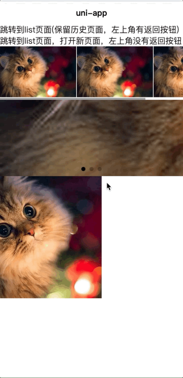 5.gif